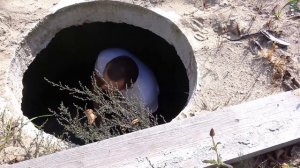 Коля СИДИТ в КАНАЛИЗАЦИИ и не ТОЛЬКО. Коля VS Оксана. 1-3 серии