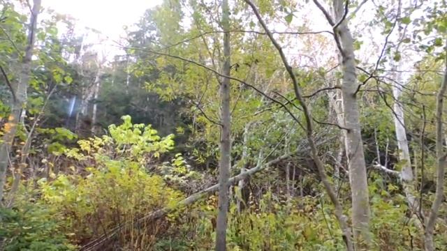 Еланка горная река смотреть онлайн