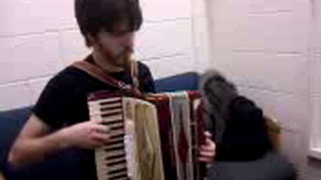 Dan Improvises Something Random On Accordion смотреть онлайн