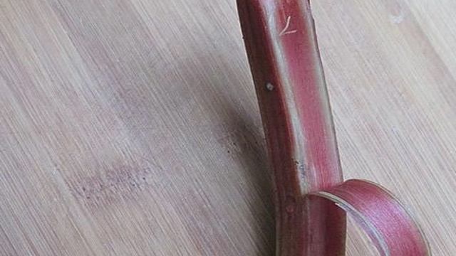 Книга рецептов