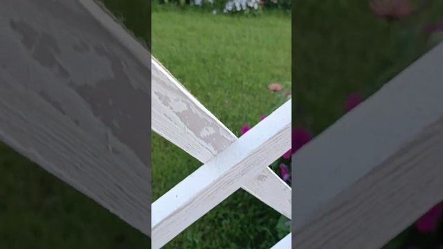 ?СВЕТОФОР?‼️ЧЕСТНЫЙ ОТЗЫВ НА ТОВАРЫ‼️ смотреть онлайн