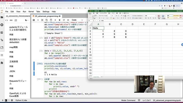 Python言語 先進的プログラミング (OpenPyXL によるExcel連携) смотреть онлайн
