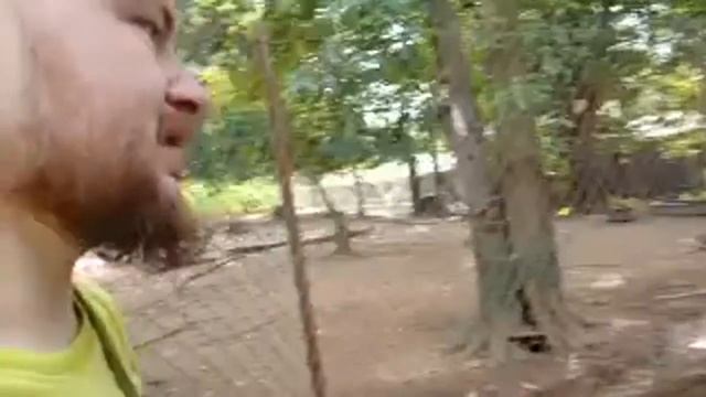 Зоопарк Джохор Бару, Малайзия ❤️ Красивая Природа И ??? смотреть онлайн