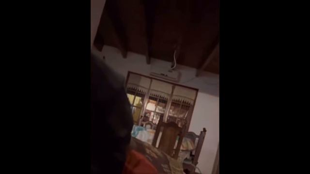 Самые Страшные Видео с Животными 😂 смотреть онлайн