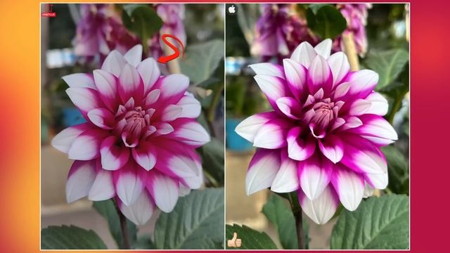 OnePlus 10 Pro Vs IPhone 13 Camera Comparison| OnePlus 10 Pro Camera Review| IPhone 13 Camera Revie