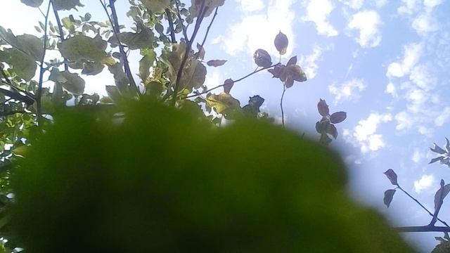 20240908_125145.mp4 смотреть онлайн