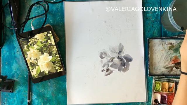 жасмин акварелью смотреть онлайн