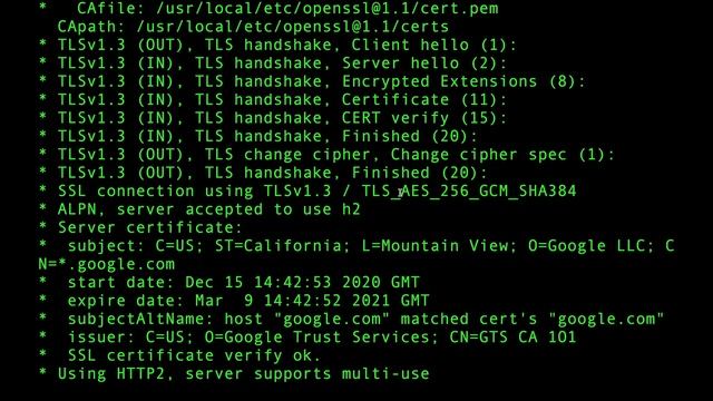 cURL Verbose Mode Explained (and how I use it to Troubleshoot my Backend) смотреть онлайн