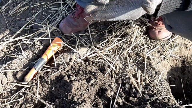 СЕРЕБРЯНОЕ ПОЛЕ, МЫ НА ВЕРНОМ ПУТИ! ЦАРСКИЙ ПЕРСТЕНЬ #коп2022 #коп #поискмонет #клад #поискстарины