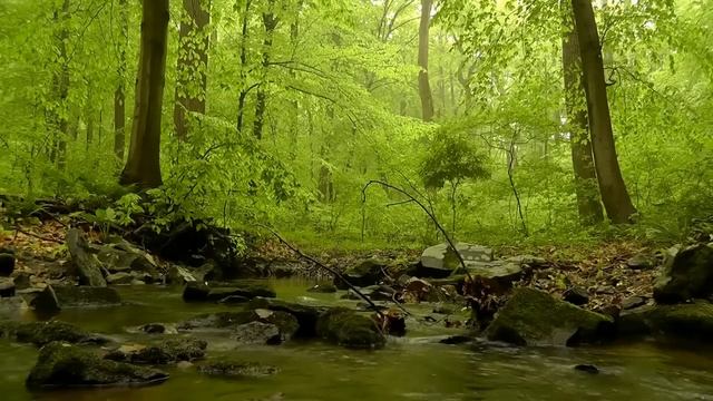 Sahaj Meditation Music Divine Breath