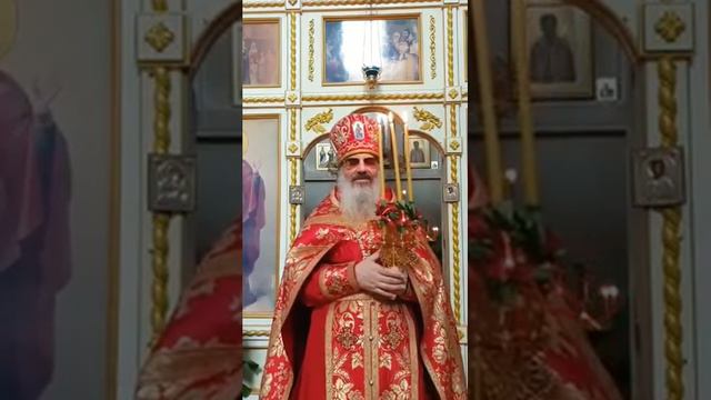 Слово после литургии в Неделю святых жен-мироносниц смотреть онлайн