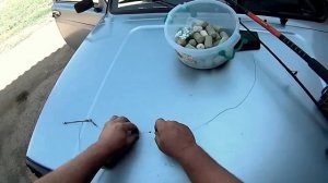 Оснастка на толстолоба: донная, поплавочная.