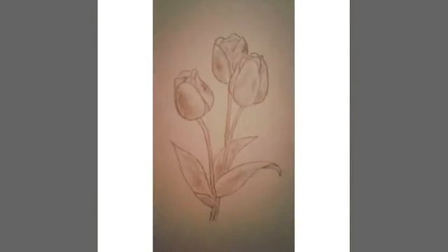 Рисунок котёнка и тюльпана. по прозбе подписчиков