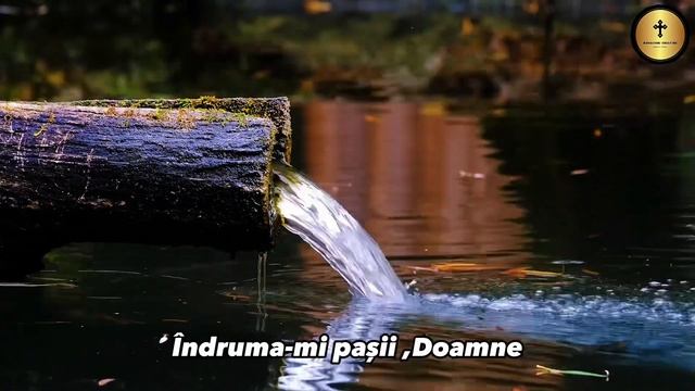 Rugăciunea zilei de vineri #amin #rugaciune #dumnezeu смотреть онлайн