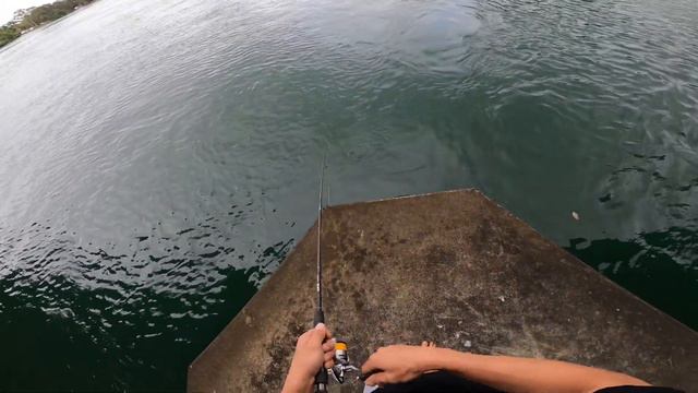 Micro Jigging The Tweed | Big Schools OF GTs смотреть онлайн