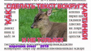 Как вставить картинку в нужное место текста (документа) в Word