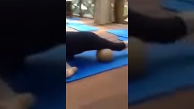 Yamuna Body Rolling отрывок  Www.eiyoo.ru