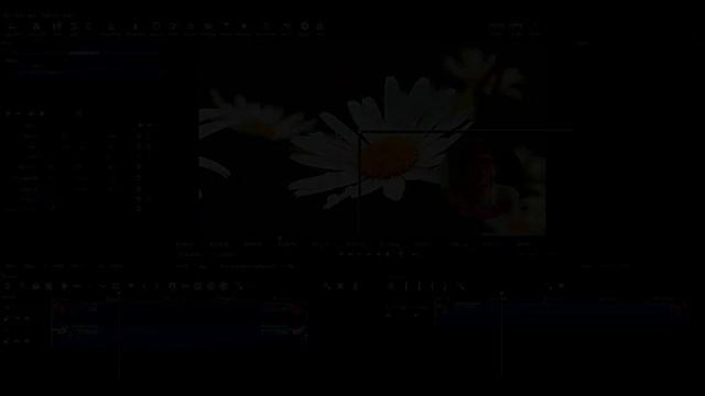 Shotcut Tutorial - Create Video Overlay (Video-in-video) смотреть онлайн