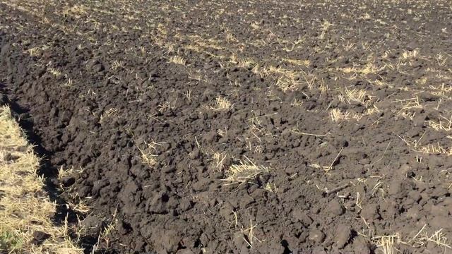 Мини бизон пахота смотреть онлайн