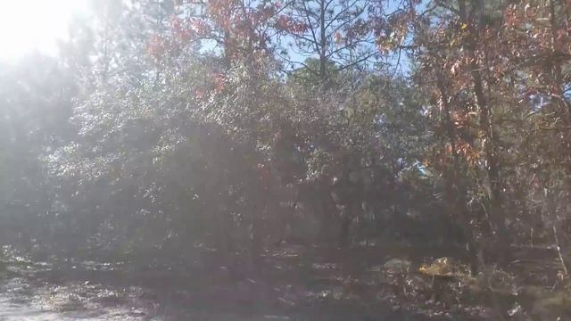 Мой ПЕРВЫЙ УЧАСТОК в США. ДИАЛОГ с СОСЕДЯМИ смотреть онлайн