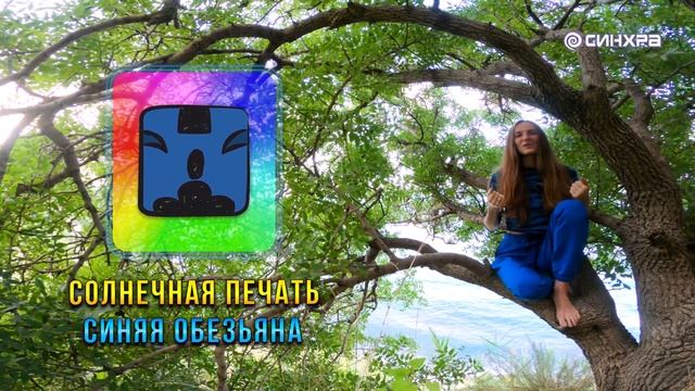 КИН 11. СИНЯЯ СПЕКТРАЛЬНАЯ ОБЕЗЬЯНА | ТЕОРИЯ И ПРАКТИКА КАЛЕНДАРЯ МАЙЯ | Часть 11 смотреть онлайн