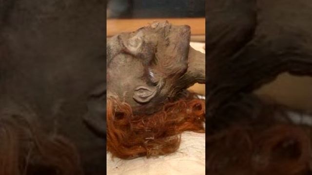 МУМИЯ ХАТШЕПСУТ! ПЕРВАЯ ЖЕНЩИНА ФАРАОН! #находки #новости #shorts #археология #древнийегипет смотреть онлайн