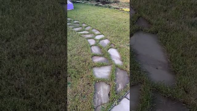 Дорожка из камня своими руками. Просим совета. #дорожка #своимируками #прошусовет смотреть онлайн