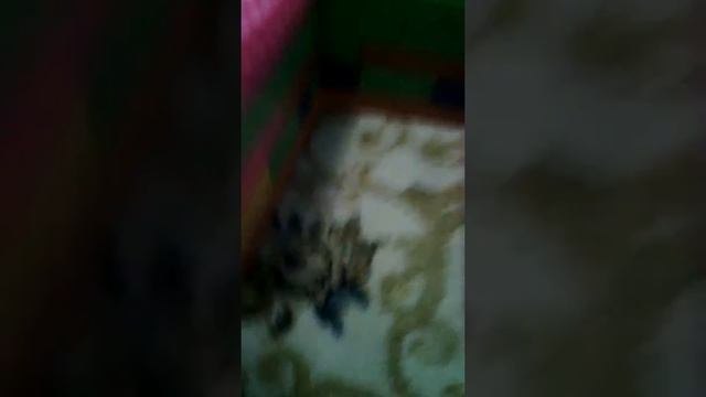 Как из кубиков сделать гараж смотреть онлайн