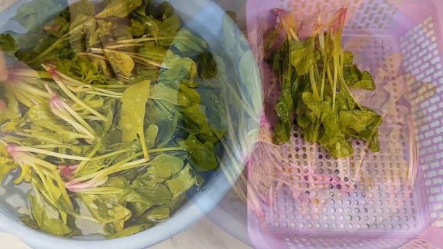 Корейский Маринованный Шпинат Рецепт Korean Spinach Pickles Recipe 시금치장아찌 만들기 смотреть онлайн