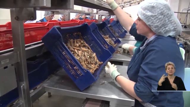 Станица-на-Дону: воспроизводство рыбы смотреть онлайн