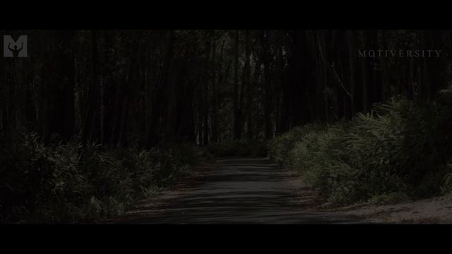 Robert Frost: The Road Not Taken - A Life Changing Poem For Hard Times смотреть онлайн