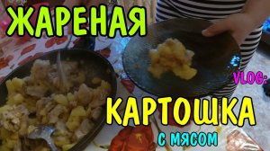 ВЛОГ: ПОТУШИЛ КАРТОШКУ С МЯСОМ/УБРАЛСЯ ДОМА