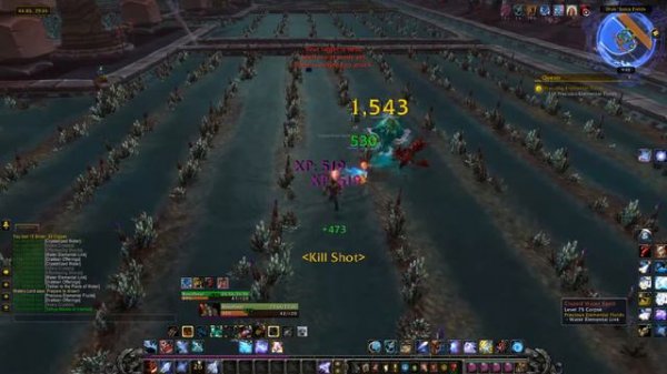 Precious Elemental Fluids (Совершенные элементальные флюиды)