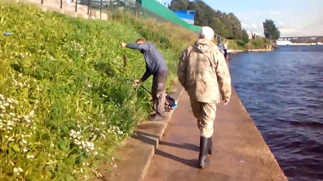 Судак на Неве смотреть онлайн
