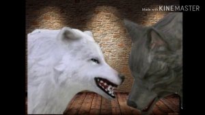 Клип •"Кровь течёт по венам вниз"•/чит.опис./GUCCI