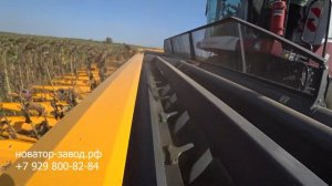 Акрос 550 уборка подсолнечника с жаткой Санмастер нео 7 (много зелени)