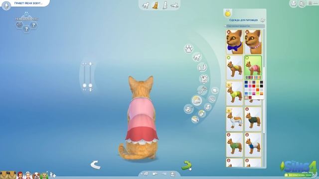 Мой Первый Питомец - Детальный обзор каталога | The Sims 4 смотреть онлайн