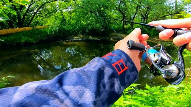ГОЛАВЛЬ В ИЮНЕ! Тактика и практика ловли. ТАРАКАНИНГ на малой реке. смотреть онлайн
