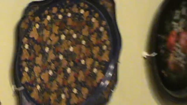 Экскурсия в Жостово. ч.2.