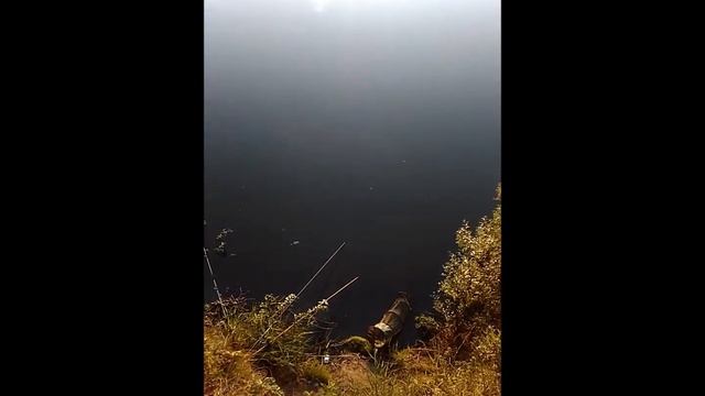 Рыбалка в Сорочьем логу Алтайский край смотреть онлайн