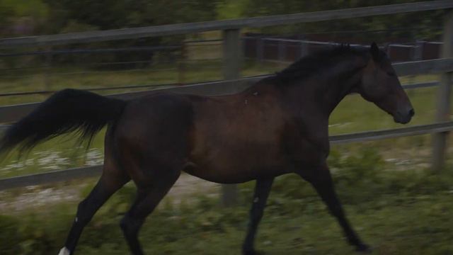 MOON OF MY LIFE BAFFI смотреть онлайн