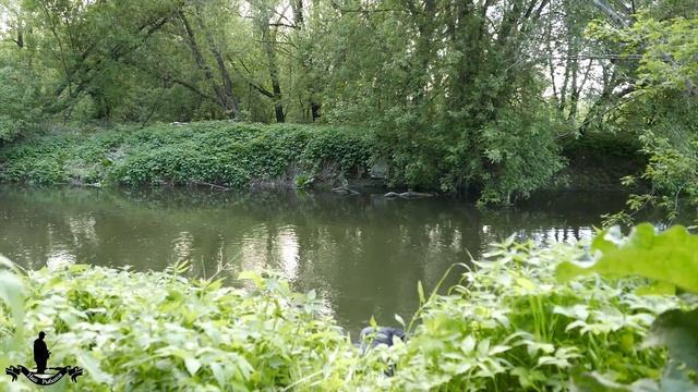 Ловля ГОЛАВЛЯ и ЖЕРЕХА весной на малой реке в Подмосковье. Спиннинг в Подмосковье. Ловля на крэнки смотреть онлайн