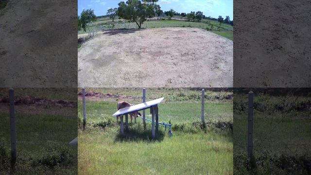 Part 2 Solar IP Camera 4K 8MP 4G Sim Card  Cam Auto Tracking 4/10X Zoom PTZ 2 Audio