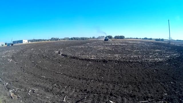 Дискование почвы после подсолнечника Т-150К бороной АГД-3.5