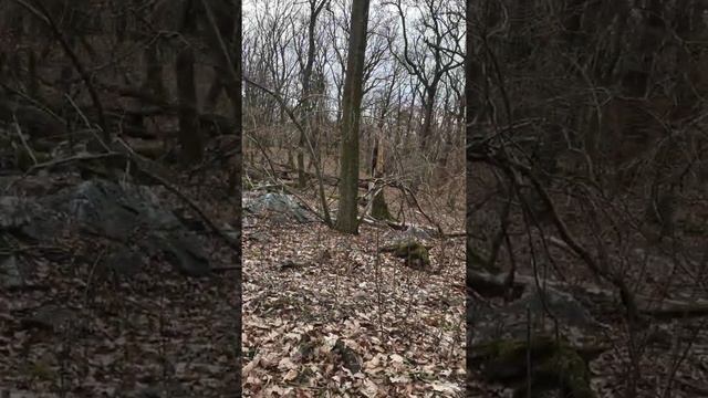 Словакия,Нитра. Подъём на гору Zabor. смотреть онлайн