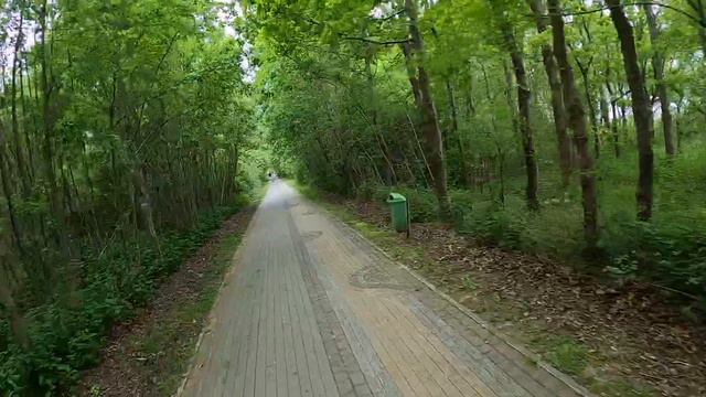 2021-06-04 Pętla rowerem wokół lotniska Bagicz Kołobrzeg Podczele, część 2 смотреть онлайн