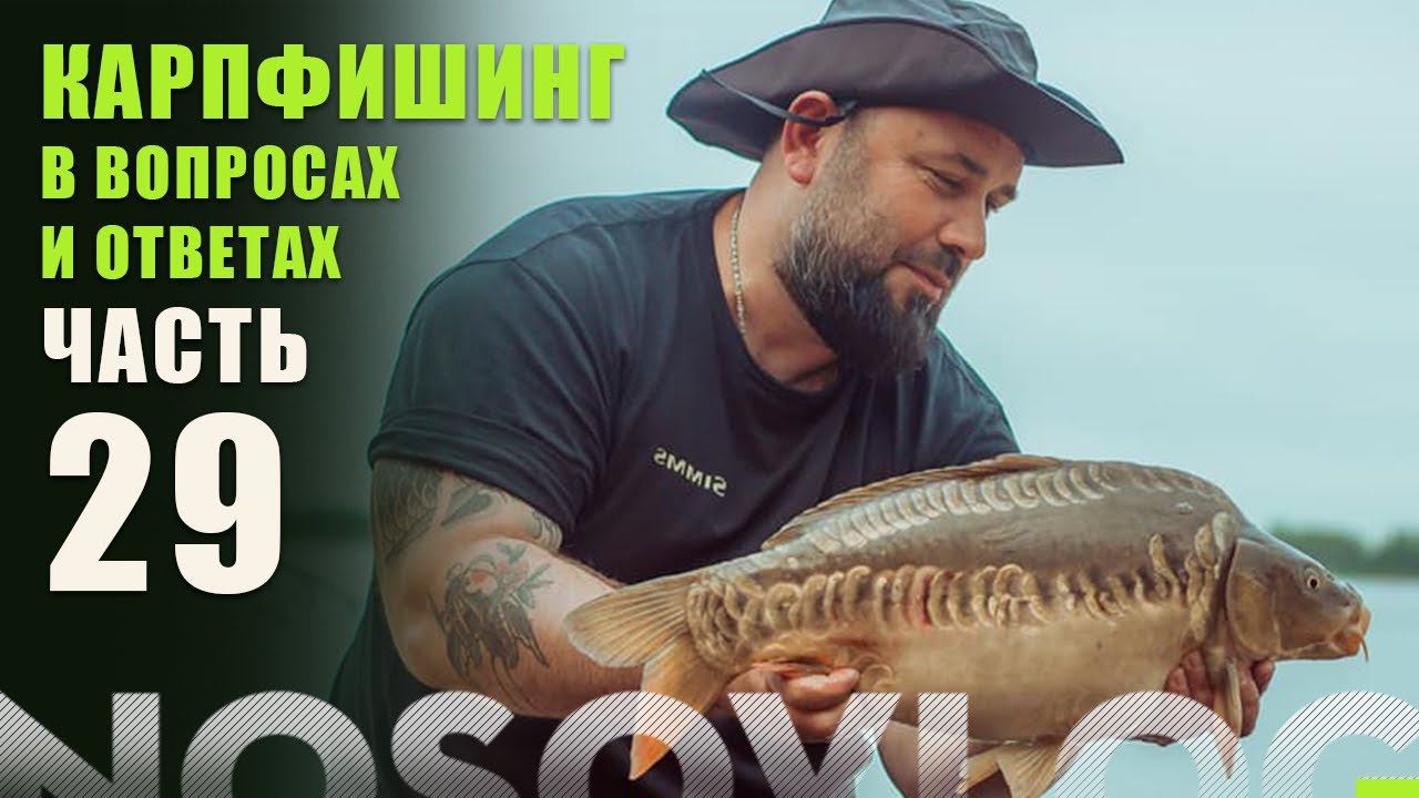 Карпфишинг в вопросах и ответах, выпуск 29, А. Колесников смотреть онлайн