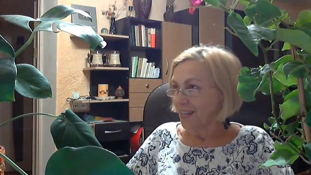 Лето а разгаре. что нужно нашим растениям? смотреть онлайн