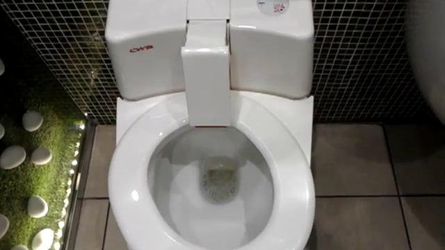 Самоочищающийся Туалет в Здоровой ферме Челябинск смотреть онлайн