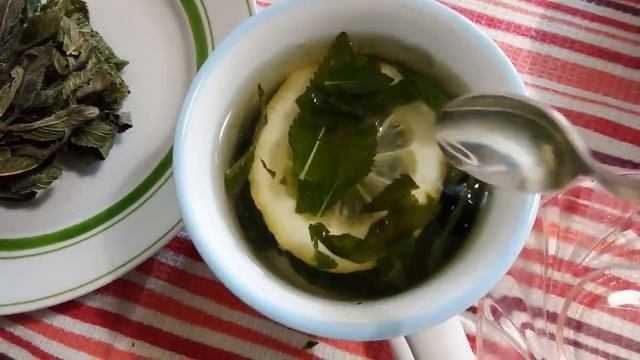 Хорошо добавлять также в салат из свежих огурцов! Я замораживаю веничками, сохраняю аромат и пользу смотреть онлайн